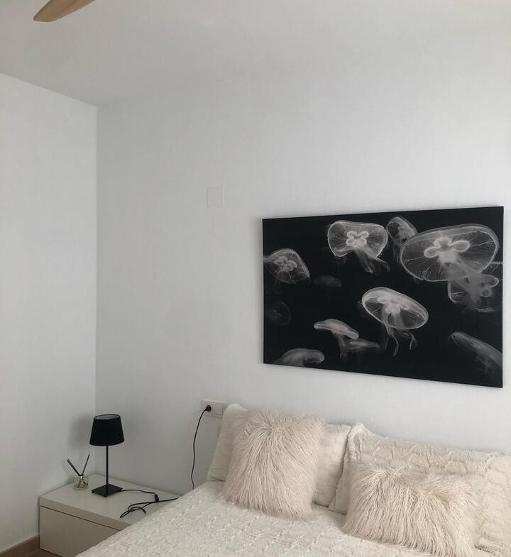 720