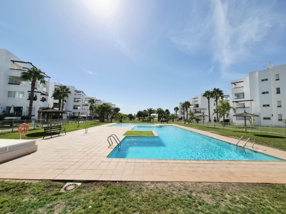 communal pool with sunshining